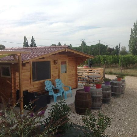 Bed and Breakfast Le Sang Des Vignes Monbazillac Exterior foto